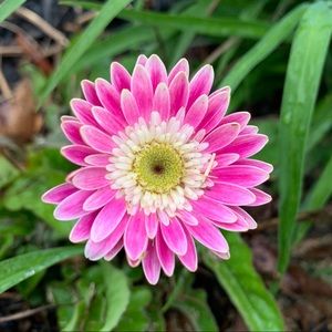 Meet your Posher, Mary ellen